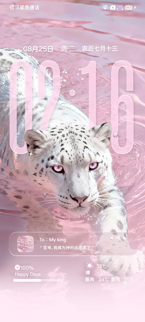 流水生财 豹富 preview
