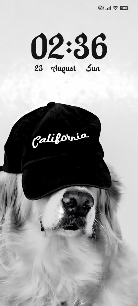 Call Me Cool preview