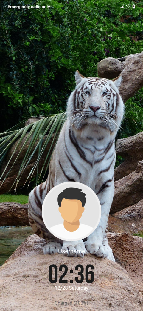 Tiger White preview