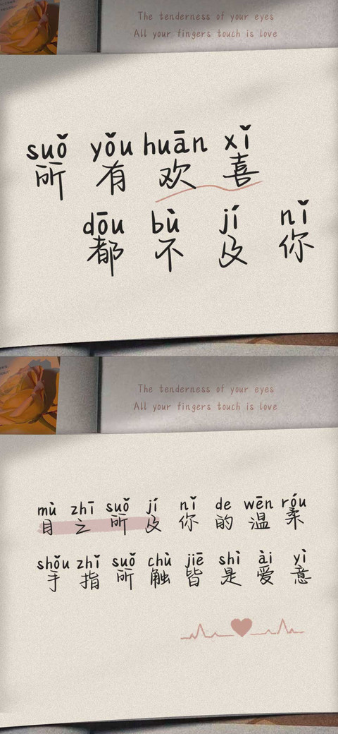 所有欢喜都不及你 preview