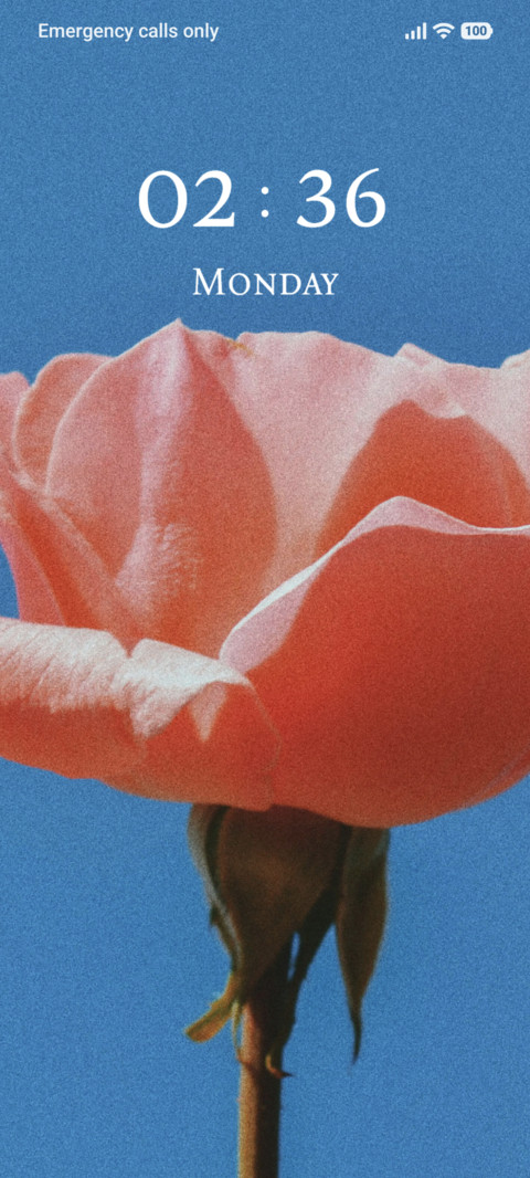 Crimson Lily preview