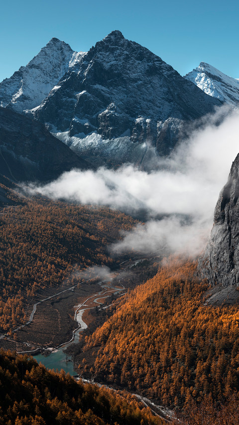 Aden's colorful forests and snowy mountains preview