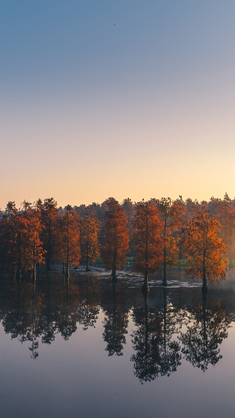 The red shirt forest in the park preview