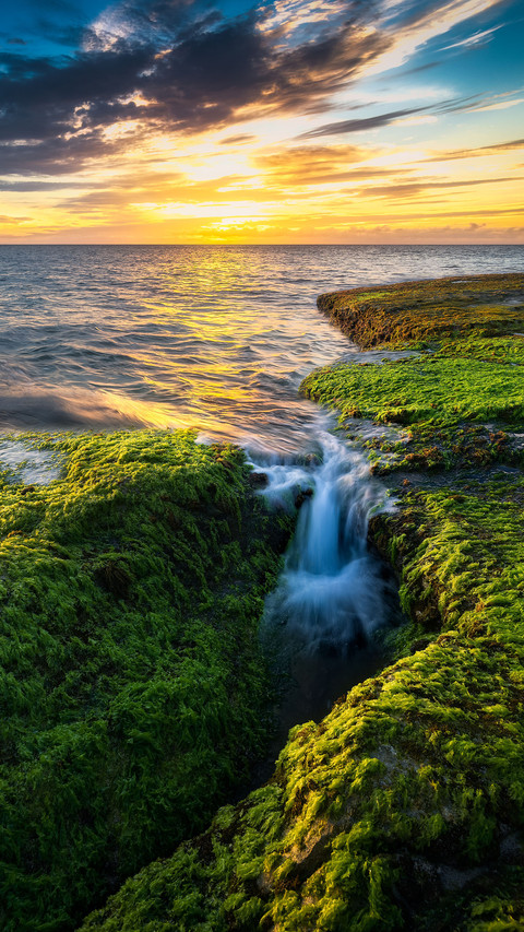 The unique charm of hawaii preview