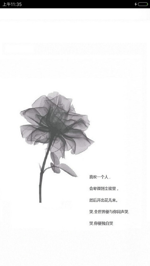 喜欢一个人 preview