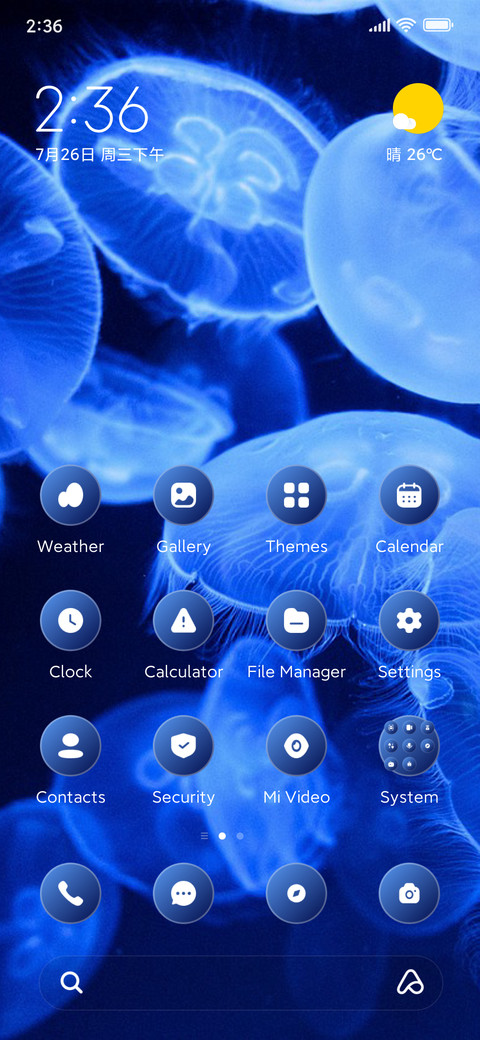 Sea Jellies preview