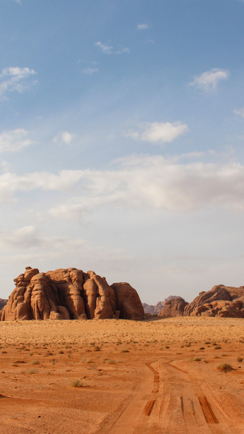 The orange sand dunes of wadi rum preview