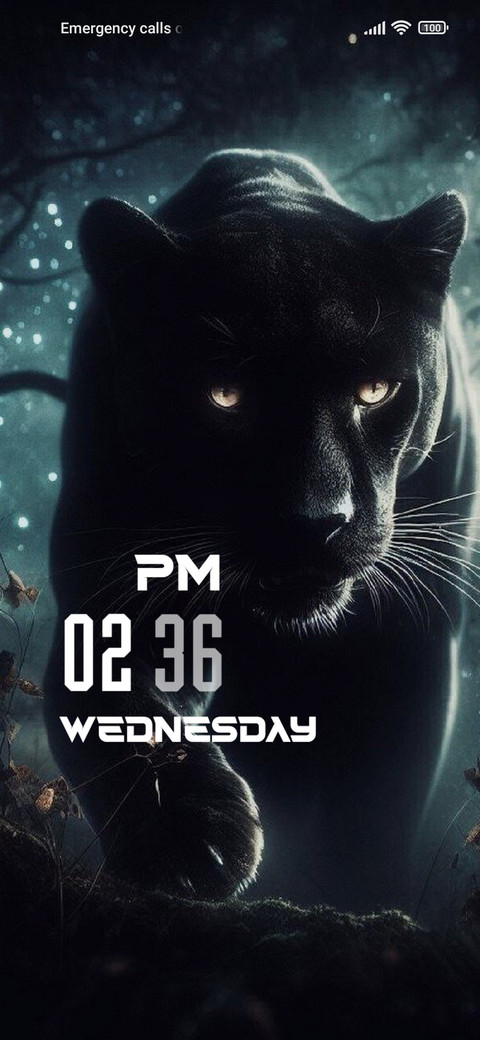 Black Panther preview