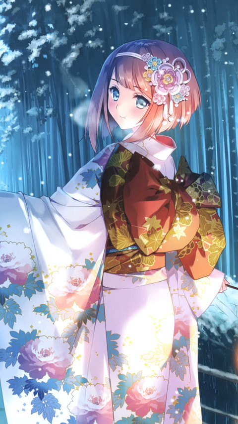 锦衣华服 preview