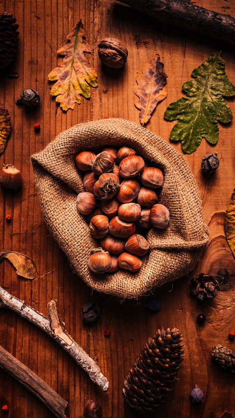 Delicious Dried Hazelnut 61 preview
