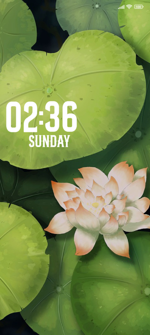 Lily preview