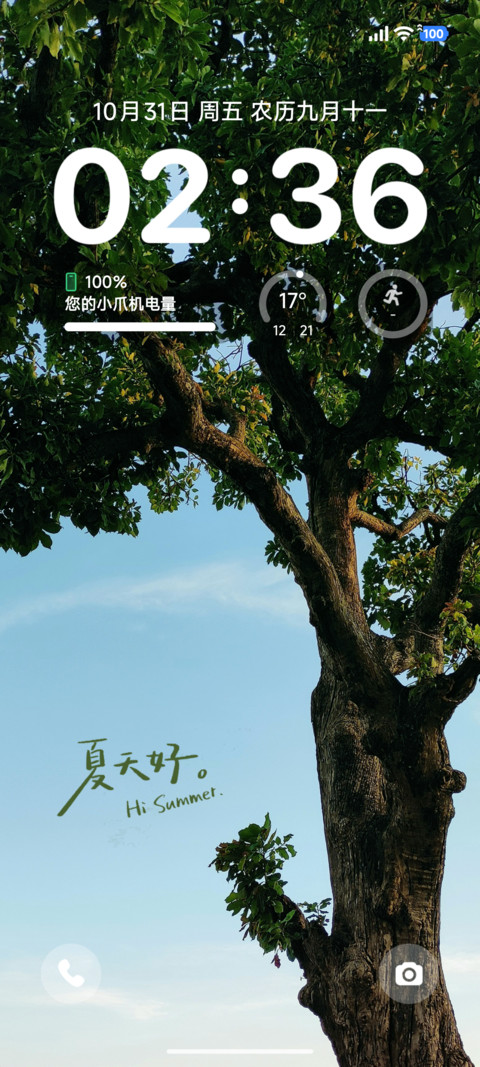 简约夏日凉叶 preview