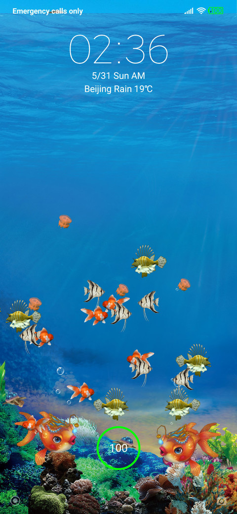 Aquarium and Fish preview