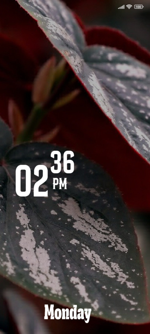 Leaf preview