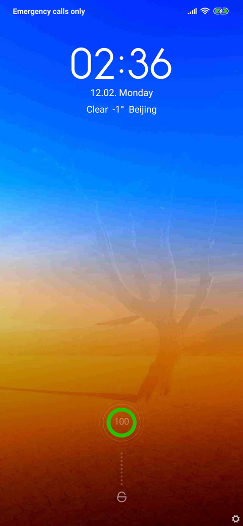 Roots preview