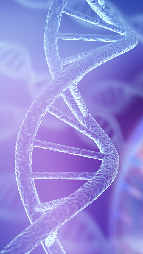 DNA Molecules Structure preview