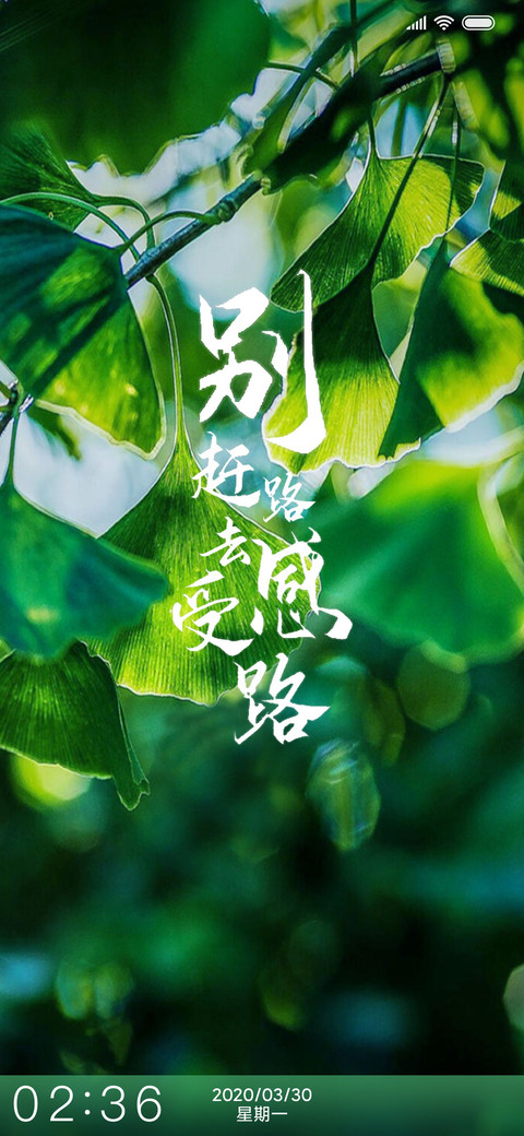 清晨绿植护眼 preview