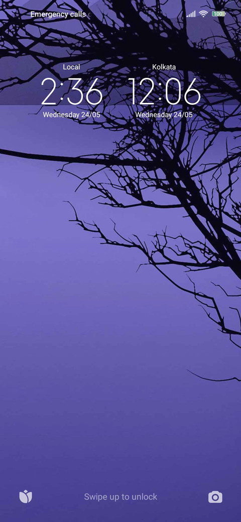  blue sea  trees preview