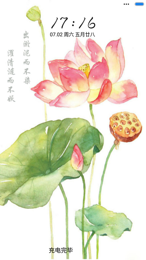 唯美荷花 preview