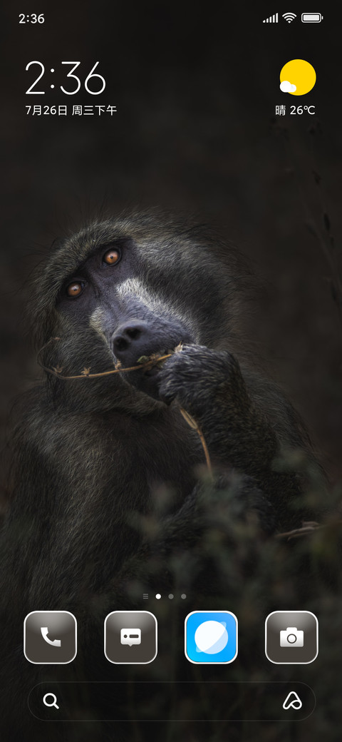 Capuchin preview