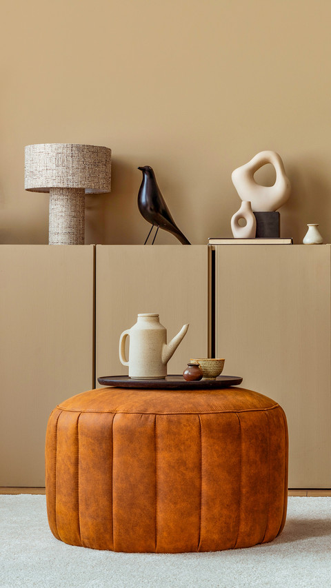 Warm and cozy living room interior with brown sofa preview