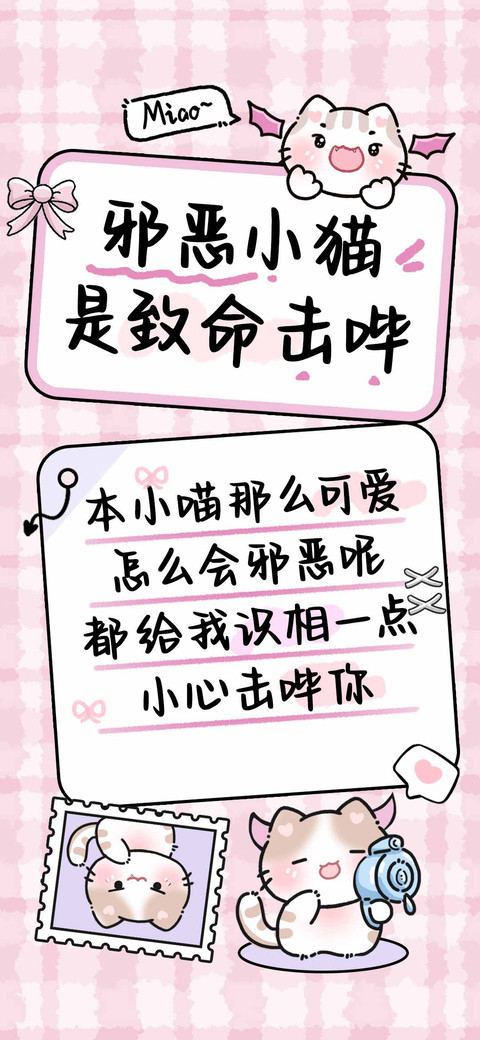邪恶小猫是致命击哔 preview