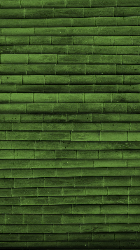 Bamboo preview