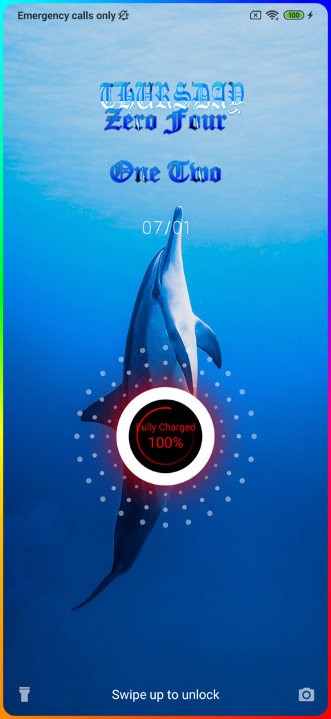 Dolphin Toro preview