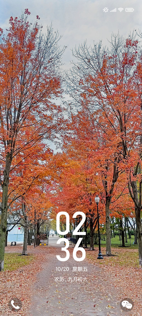 落叶知秋 preview