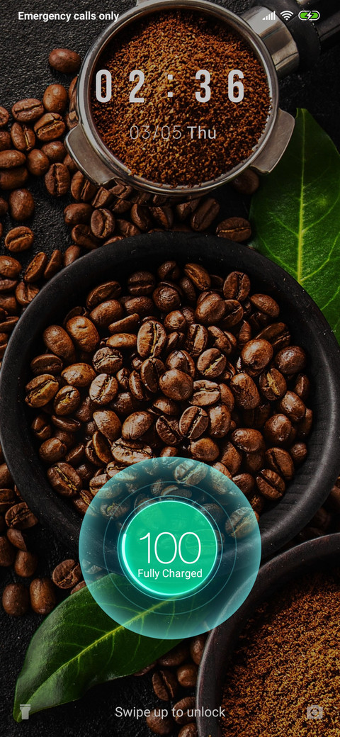 CoffeeBean_3MDP preview