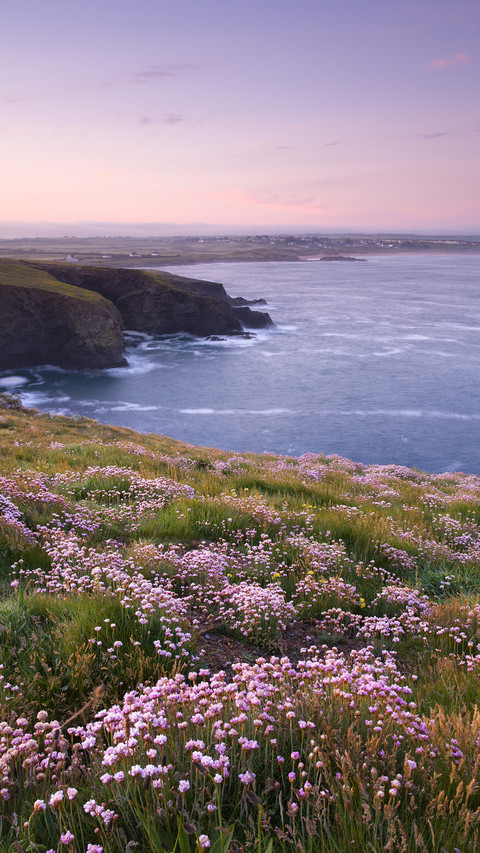 International-Cornwall preview