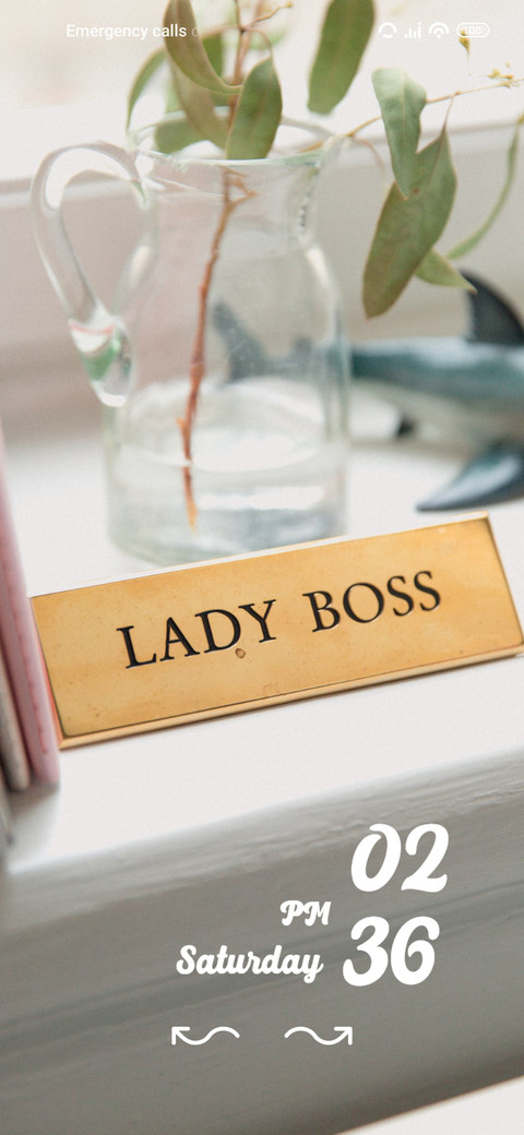 ladyboss preview