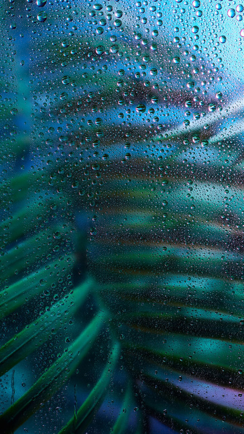 raindrops (1) preview