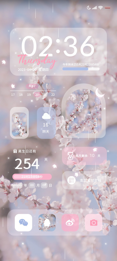 桃花飘落 双模式 preview