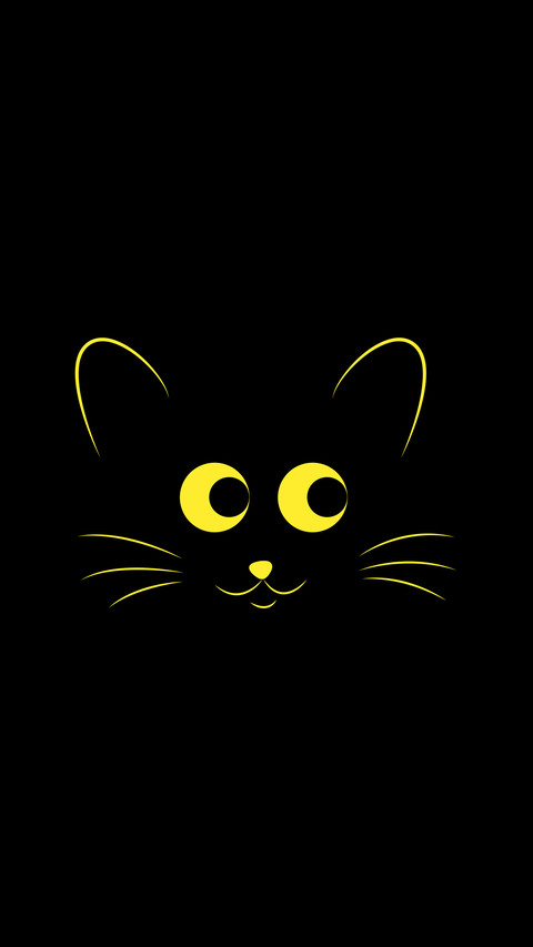 Black cool cat preview