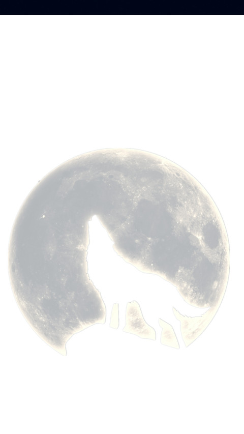 战狼 preview