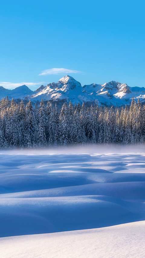 Winter at Pokljuka in Julian Alps preview