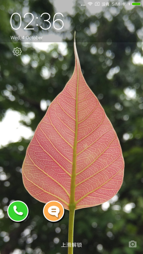Redleaf Light preview