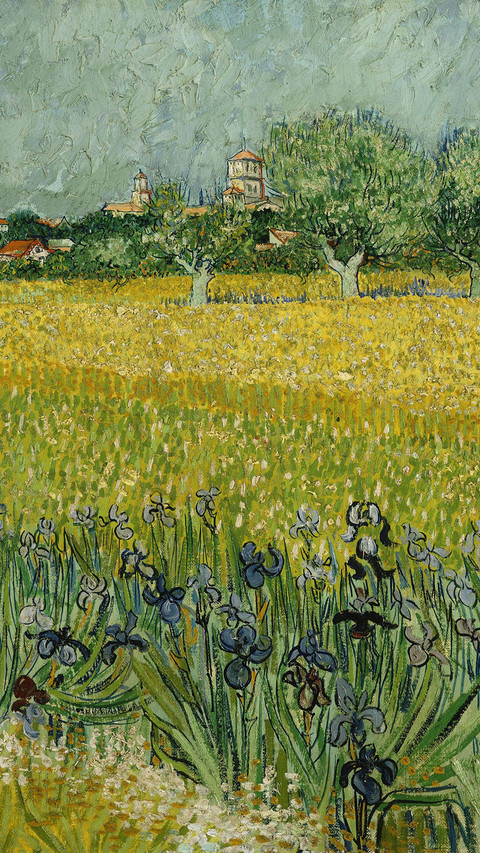 FieldwithFlowersnearArles preview