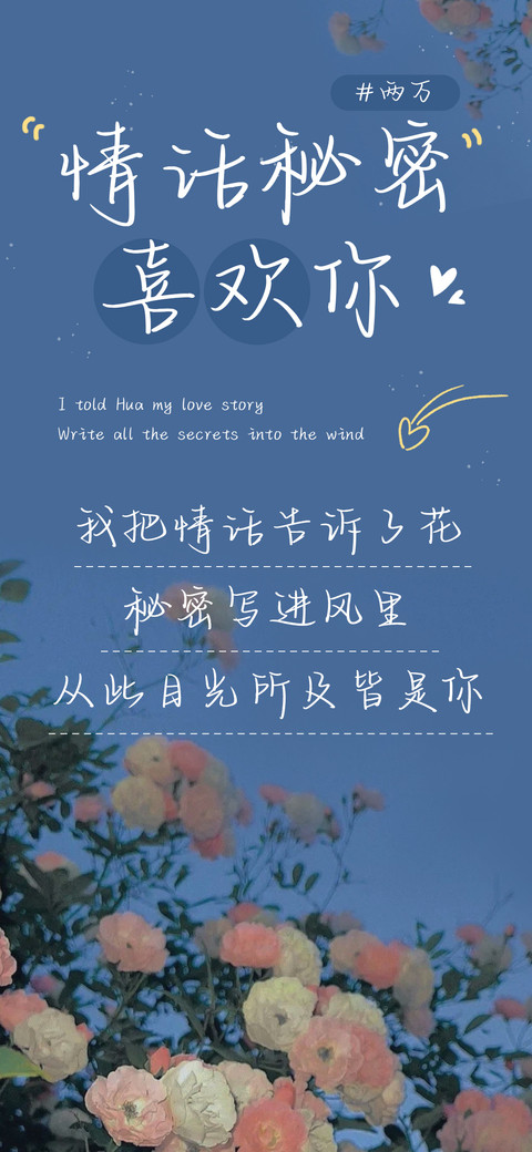 情话秘密喜欢你2万 preview