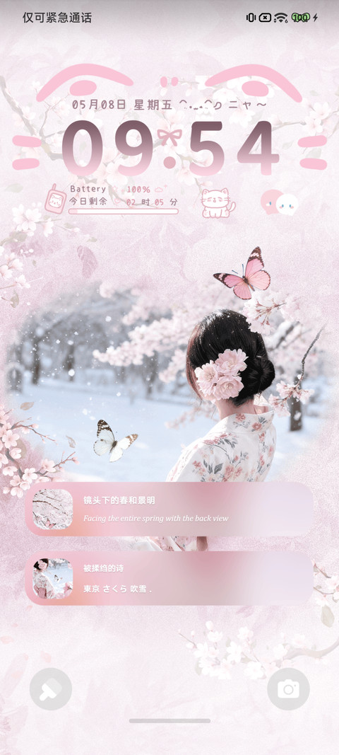 Ins 冬樱恋曲 preview