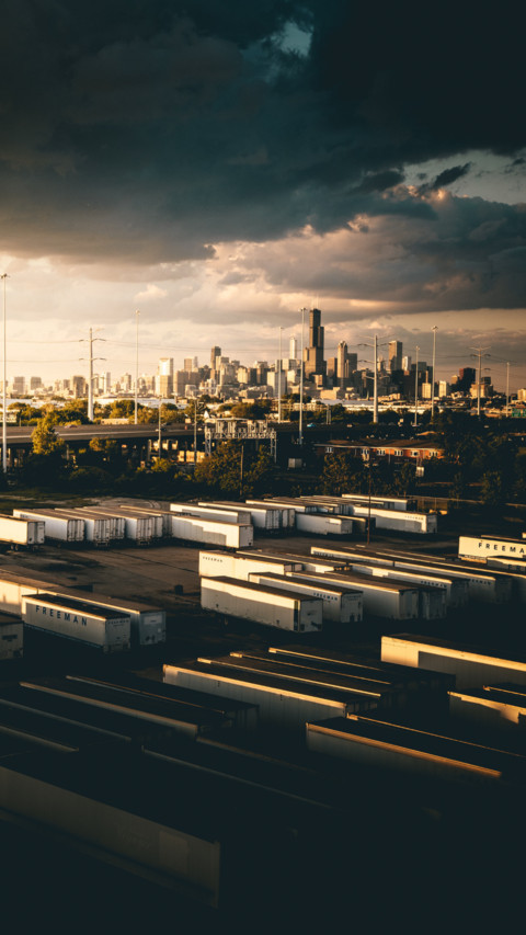 Urban Jungle (5) preview