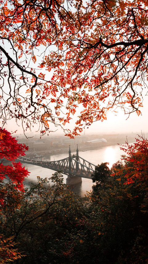 Bridges Of Life (11) preview