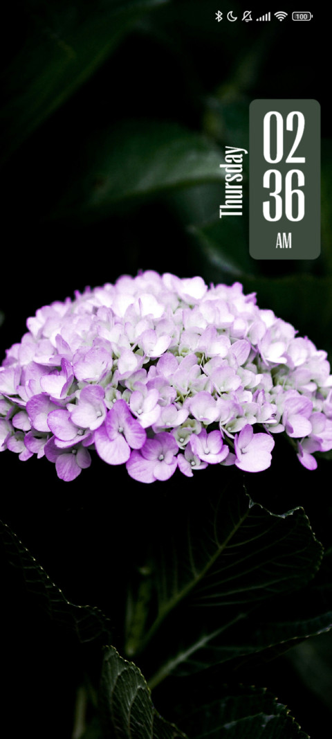 Green Leaves preview