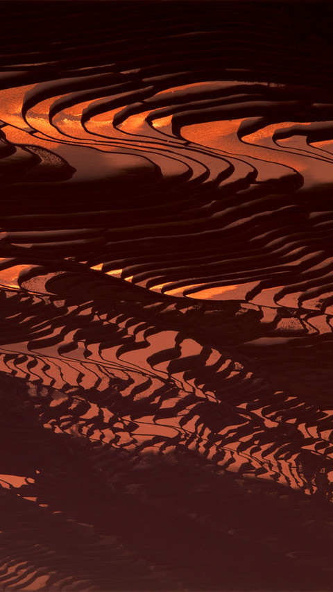 Beautiful Terraces preview