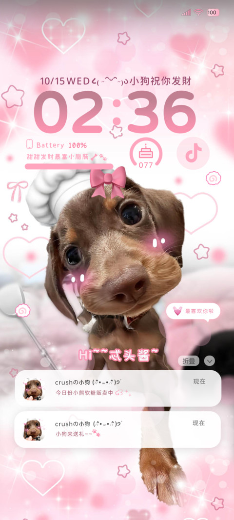 腊肠狗署名更喜欢你 preview