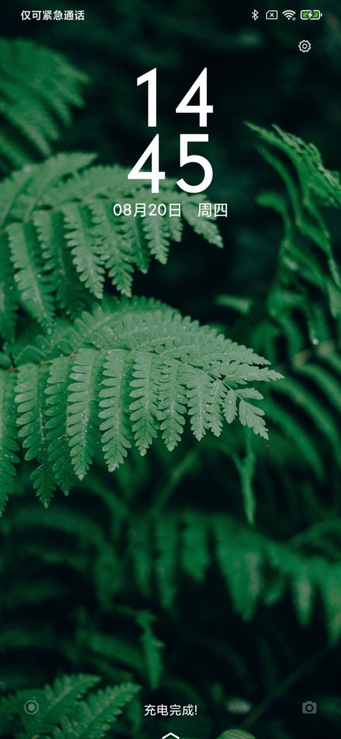 夏末 preview