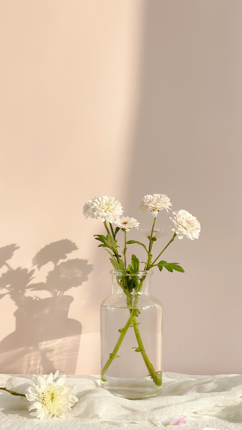 鲜花与生活的联系 preview