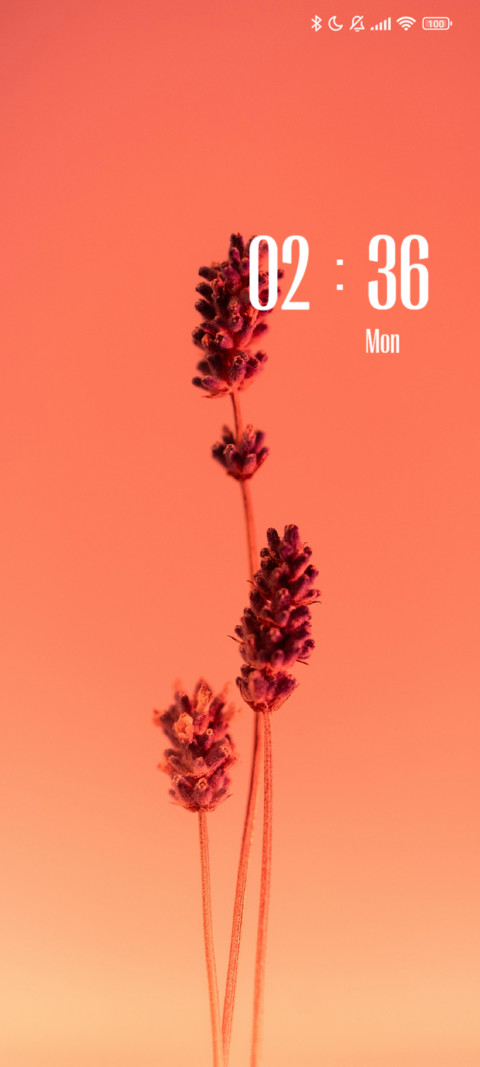 Plant preview
