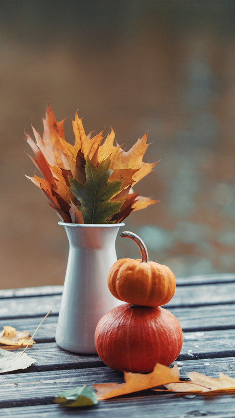 Advanced eating method of pumpkin 0 preview